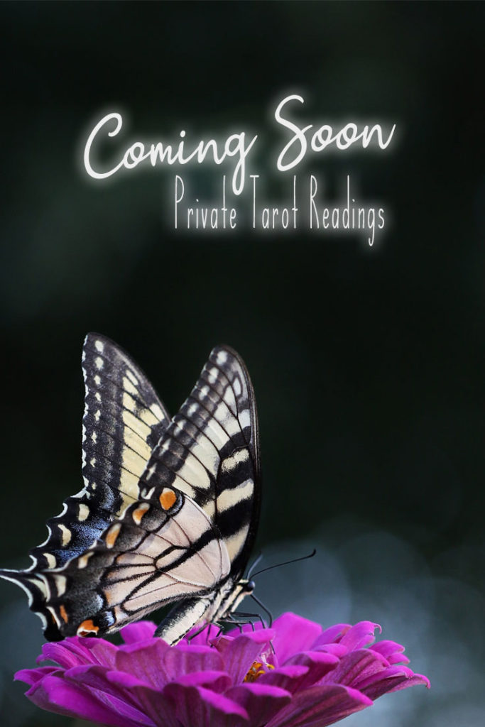 You asked and I listened!  Coming soon: Private Tarot Readings!  Ever since launching my YouTube page, I have been overwhelmed with this request! Love it!