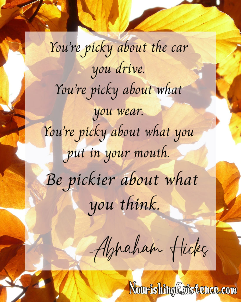 You’re picky about the car you drive. You’re picky about what you wear. You’re picky about what you put in your mouth. Be pickier about what you think. -Abraham Hicks