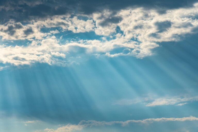 Angel Number 555: Embrace Change and Embrace Your True Path