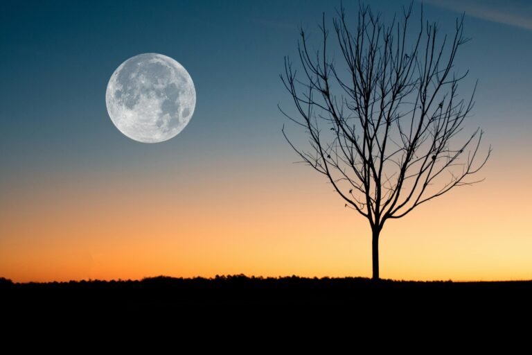 Full Moon Ritual Guide: Release, Heal, and Recharge